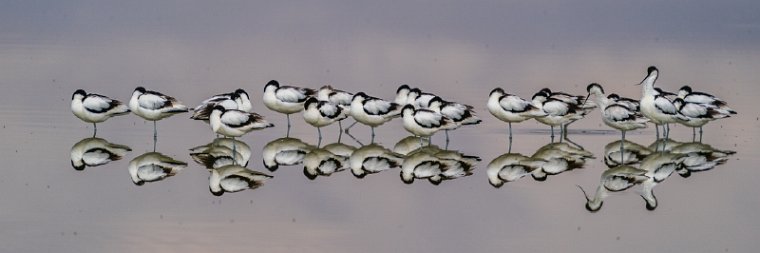114 Amboseli Nationaal Park.jpg